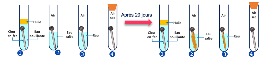 Schéma des 4 tubes à essai